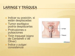 LARINGE Y TRÁQUEA
 Indicar su posición, si
están desplazadas
 Tumor esofágico
podría desplazarlas
 Protrusiones o
pulsaciones
 Tirón traqueal (signo
de Cardarelli o de
Oliver)
 Índice y pulgar:
consistencia
 