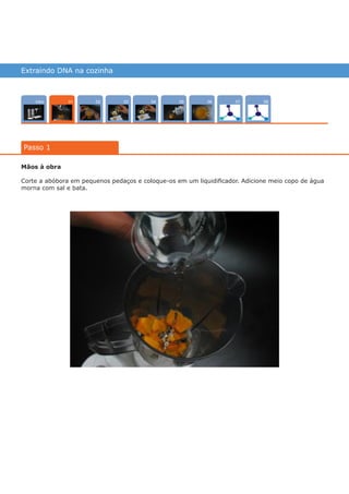 Extraindo DNA na cozinha
Intro 070402 080503 06
Passo 1
01
Mãos à obra
Corte a abóbora em pequenos pedaços e coloque-os em um liquidificador. Adicione meio copo de água
morna com sal e bata.
várias experiências, um só lugar
 