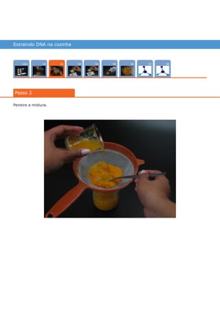 Extraindo DNA na cozinha
Intro 0704 080503 0601
Passo 2
02
Peneire a mistura.
várias experiências, um só lugar
 