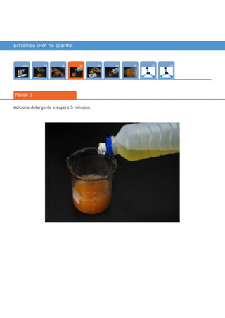 Extraindo DNA na cozinha
Intro 070402 0805 0601
Passo 3
03
Adicione detergente e espere 5 minutos.
várias experiências, um só lugar
 