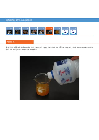 Extraindo DNA na cozinha
Intro 070402 0803 0601
Passo 5
05
Adicione o álcool lentamente pelo canto do copo, para que ele não se misture, mas forme uma camada
sobre a solução extraída da abóbora.
várias experiências, um só lugar
 