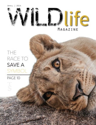WILDlife
April | 2014
THE
RACE TO
SAVE A
SYMBOL
PAGE 10
Magazine
 