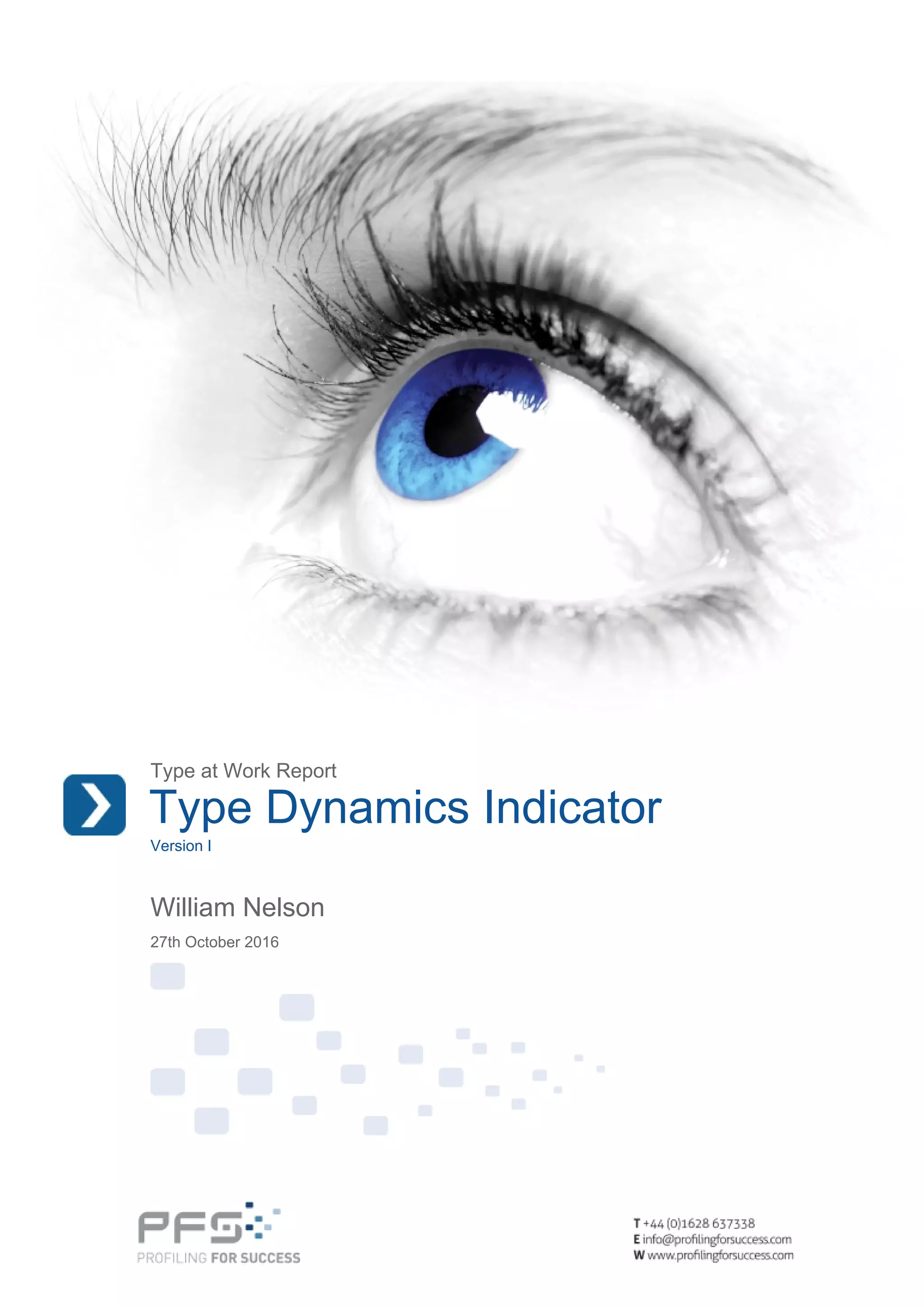 Type at Work Report
Type Dynamics Indicator
Version I
William Nelson
27th October 2016
 