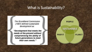 What is Sustainability?
 