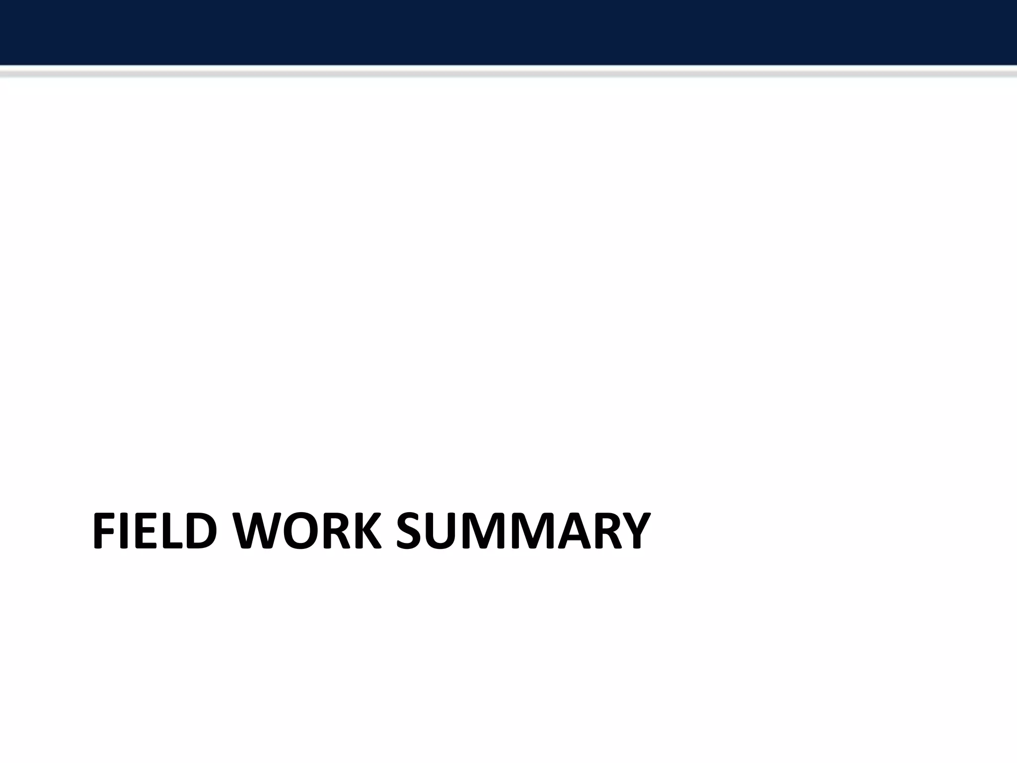 FIELD WORK SUMMARY
 