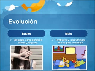Evolución
Bueno
Síntomas como parálisis,
afonía y ceguera.
Malo
Temblores y convulsiones
son de peor evolución
 