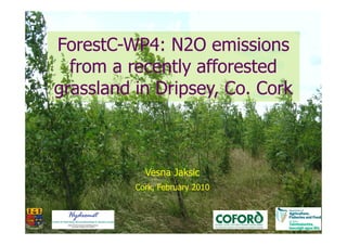 ForestC-WP4: N2O emissions
from a recently afforested
grassland in Dripsey, Co. Cork
Vesna Jaksic
Cork, February 2010
 