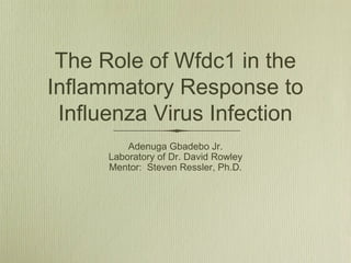 The Role of Wfdc1 in the
Inflammatory Response to
Influenza Virus Infection
Adenuga Gbadebo Jr.
Laboratory of Dr. David Rowley
Mentor: Steven Ressler, Ph.D.
 