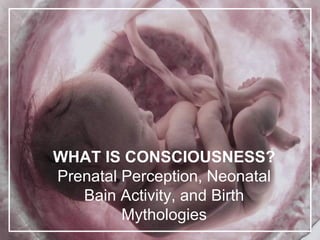 WHAT IS CONSCIOUSNESS?
Prenatal Perception, Neonatal
Bain Activity, and Birth
Mythologies
 