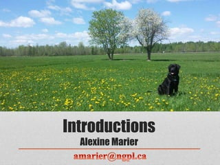 Introductions
Alexine Marier
 