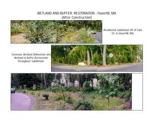 WETLAND AND BUFFER RESTORATION - Haverhill, MA
(After Construction)
Residential subdivision off of Lake
St. in Haverhill, MA.
Extensive Wetland Delineation and
Wetland & Buffer Restoration
throughout subdivision.
 