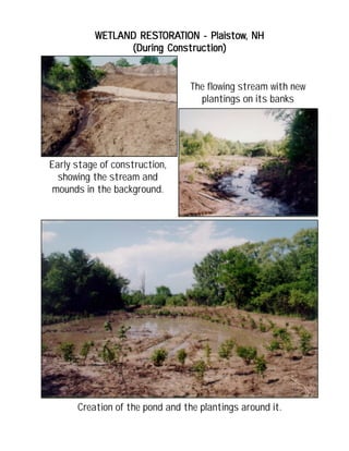 WETLAND RESTWETLAND RESTWETLAND RESTWETLAND RESTWETLAND RESTORAORAORAORAORATION - PlaistowTION - PlaistowTION - PlaistowTION - PlaistowTION - Plaistow, NH, NH, NH, NH, NH
(During Construction)(During Construction)(During Construction)(During Construction)(During Construction)
Creation of the pond and the plantings around it.
Early stage of construction,
showing the stream and
mounds in the background.
The flowing stream with new
plantings on its banks
 