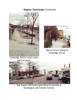 Brighton StrBrighton StrBrighton StrBrighton StrBrighton Streetscapeeetscapeeetscapeeetscapeeetscape (Continued)
Oak Square and landscaped island at junction of
Washington and Tremont Streets.
Cambridge Street street trees
and tree grate.
Warren Street Island at
Cambridge Street.
 