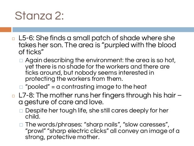 The zulu girl poem summary and analysis The zulu girl poem summary and analysis picture