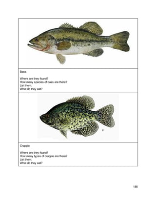  
Bass 
 
Where are they found? 
How many species of bass are there? 
List them: 
What do they eat? 
 
Crappie 
 
Where are they found? 
How many types of crappie are there? 
List them: 
What do they eat? 
186 
 
