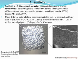 Tissue Engineering slides | PPTX