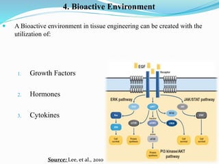 Tissue Engineering slides | PPTX