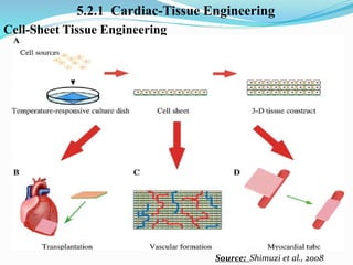 Tissue Engineering Animation Tissue Engineering slides | PPTX