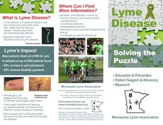 Lyme
Disease
Solving the
Puzzle
• Education & Prevention
• Patient Support & Advocacy
• ResearchMinnesota Lyme Association
Minnesota Lyme Association is a 501(c)(3) non-profit dedicated
to education, advocacy and patient support.
MLA works cooperatively with the national Lyme Disease
Association(LDA) and affiliates around the country.
Visit www.mnlyme.org
email lyme@mnlyme.org
MLA is a Lyme Disease Association, Inc. affiliate
Minnesota Lyme Association materials, meeting
presentations and website information are provided for educational pur-
poses only.The information is not intended as medical advice and should
not be relied upon to diagnose or treat any disease. Where medical advice
is needed, a licensed health care professional should always be consulted.
Where Can I Find
More Information?
• Minnesota Lyme Association: mnlyme.org
• Columbia University Lyme Research Center:
columbia-lyme.org
• Lyme Disease Association:
lymediseaseassociation.org
• International Lyme & Associated Diseases Society:
ilads.org
• Lymedisease.org: www.lymedisease.org
What is Lyme Disease?
• Lyme disease is a bacterial infection that
can involve any area of the body.
Skin, joints and the nervous
system, including the brain,
are most frequently affected.
• Borrelia burgdorferi is the
bacterial cause of Lyme disease.
Borrelia burgorferi
Lyme’s Impact:
Many patients travel out of MN for care.
A national survey of 2500 patients found:
• 65% cut back or quit school/work
• 25% received disability payments
• People get Lyme
disease from the bites
of infected black-legged (deer) ticks.
• Ticks obtain bacterium by feeding
on infected animals and transmit the
infection during subsequent feedings.
• Many people don’t recall being bitten
because the ticks are small and the bites
are painless.
Engorged nymph
compared to pin
Minnesota Lyme Association
 