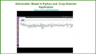 Deliverable: Model in Python and Crop Detector
Application
https://youtu.be/EPtDwFKibOI
 