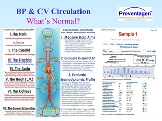BP & CV Circulation
What’s Normal?
 