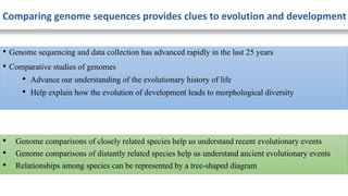 Role of Genome Advancement in Evolution Studies | PPTX