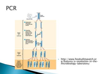 Forensic Identification using skin bacterial communities | PPTX