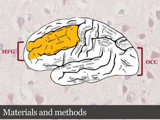Materials and methods
OCC
MFG
 