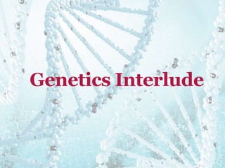 Genetics Interlude
 