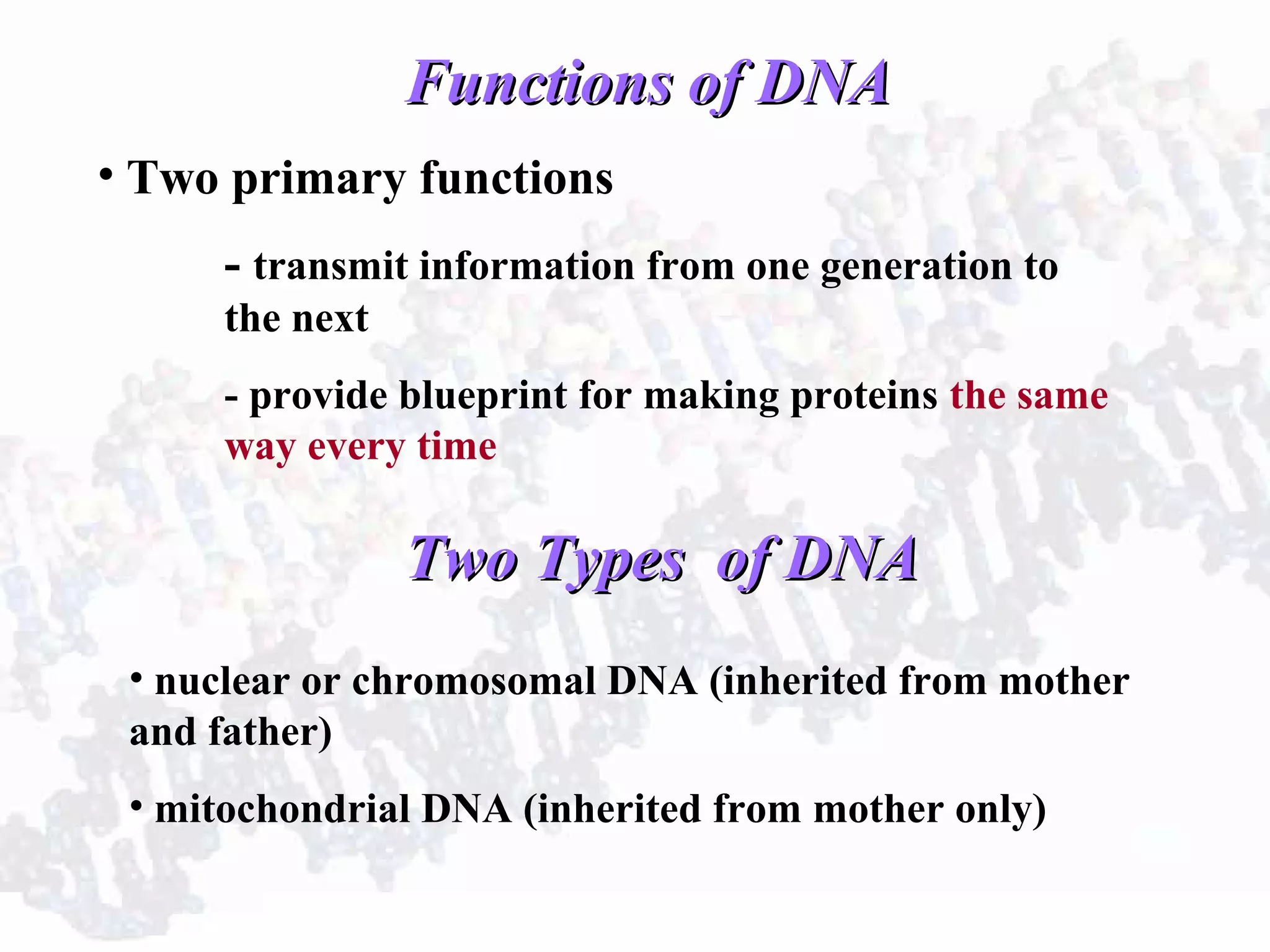 Functions of DNAFunctions of DNA
• Two primary functions
- transmit information from one generation to
the next
- provide blueprint for making proteins the same
way every time
Two Types of DNATwo Types of DNA
• nuclear or chromosomal DNA (inherited from mother
and father)
• mitochondrial DNA (inherited from mother only)
 