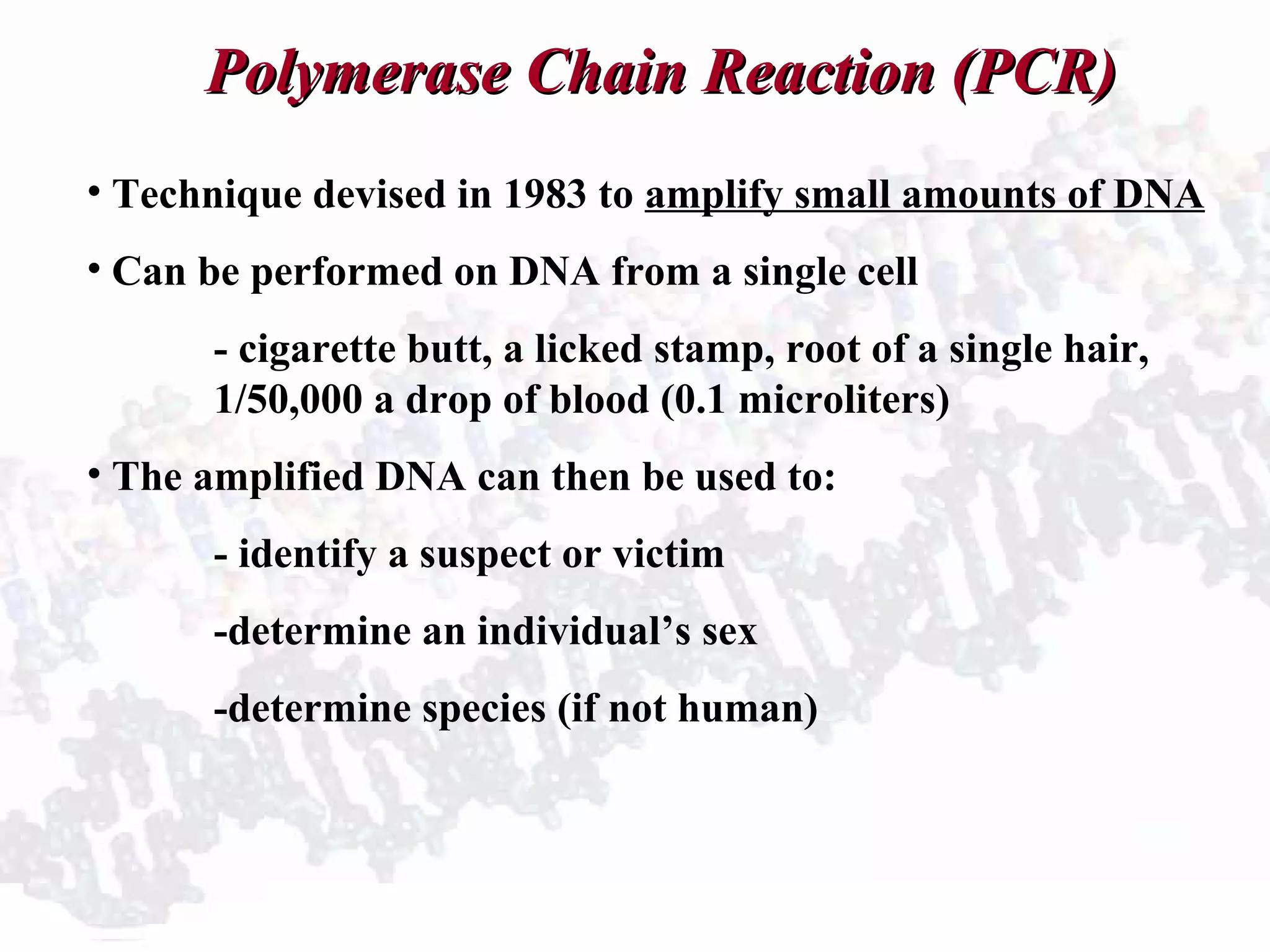 Polymerase Chain Reaction (PCR)Polymerase Chain Reaction (PCR)
• Technique devised in 1983 to amplify small amounts of DNA
• Can be performed on DNA from a single cell
- cigarette butt, a licked stamp, root of a single hair,
1/50,000 a drop of blood (0.1 microliters)
• The amplified DNA can then be used to:
- identify a suspect or victim
-determine an individual’s sex
-determine species (if not human)
 