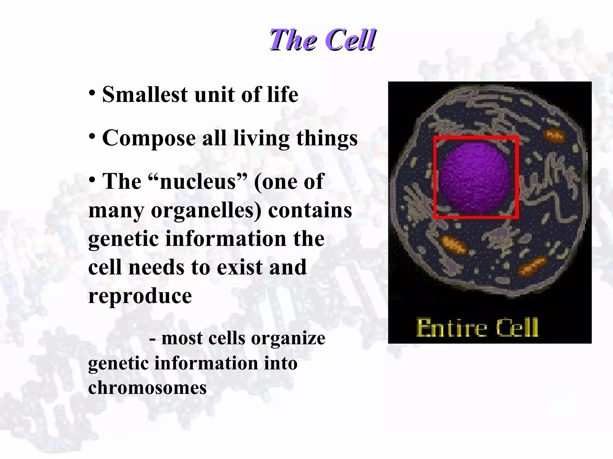 The CellThe Cell
• Smallest unit of life
• Compose all living things
• The “nucleus” (one of
many organelles) contains
genetic information the
cell needs to exist and
reproduce
- most cells organize
genetic information into
chromosomes
 