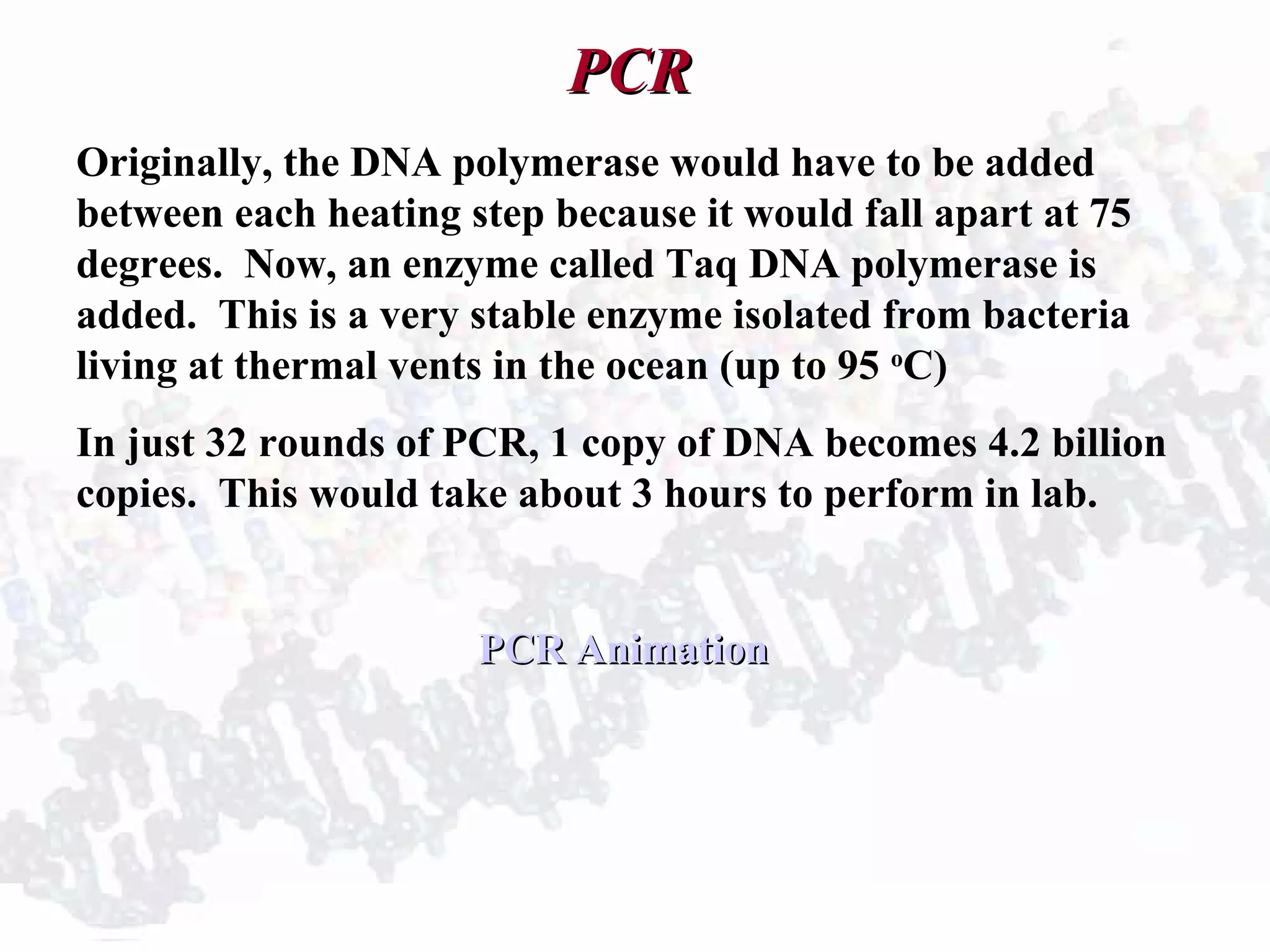 PCRPCR
Originally, the DNA polymerase would have to be added
between each heating step because it would fall apart at 75
degrees. Now, an enzyme called Taq DNA polymerase is
added. This is a very stable enzyme isolated from bacteria
living at thermal vents in the ocean (up to 95 o
C)
In just 32 rounds of PCR, 1 copy of DNA becomes 4.2 billion
copies. This would take about 3 hours to perform in lab.
PCR AnimationPCR Animation
 