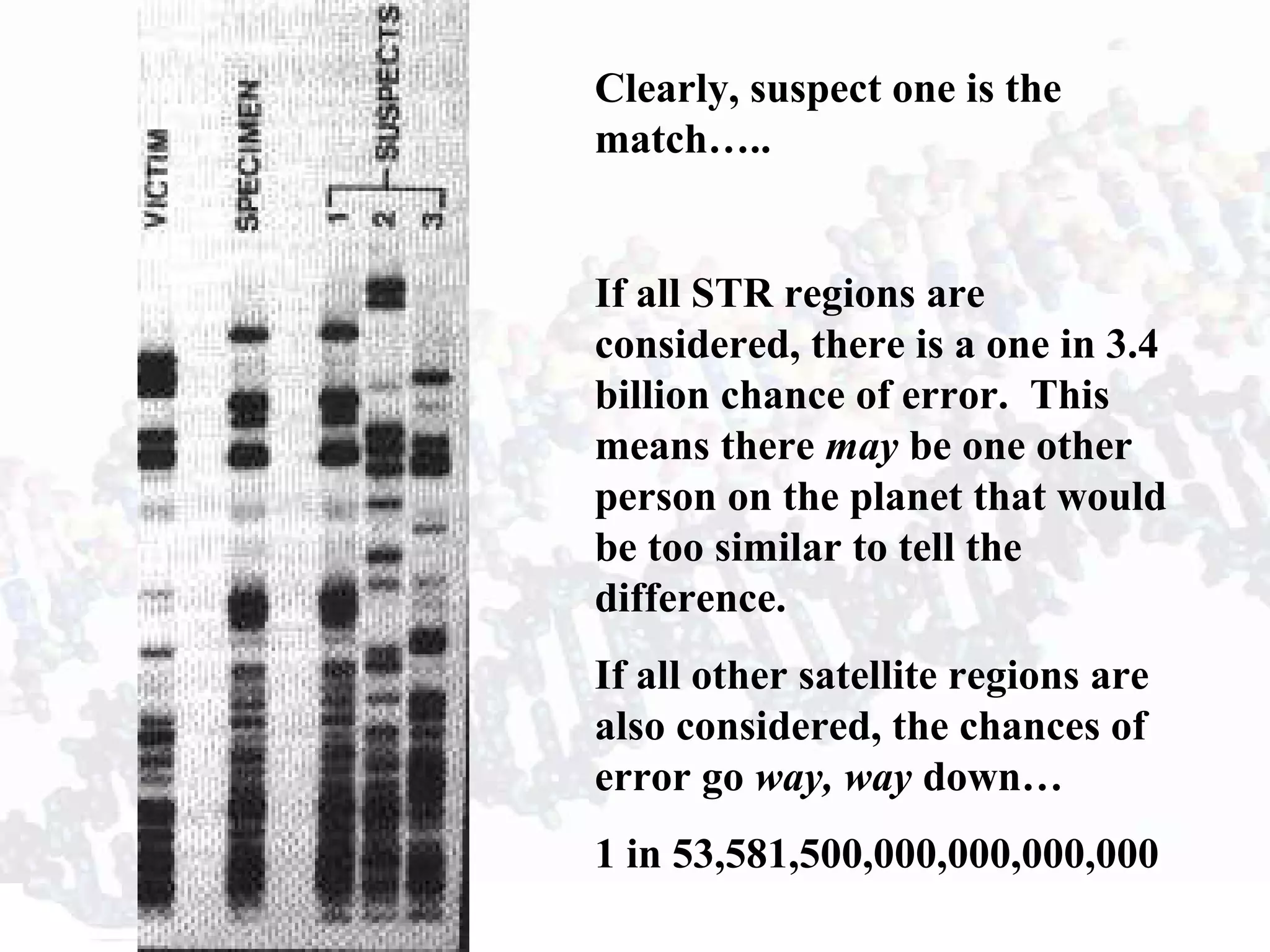 Clearly, suspect one is the
match…..
If all STR regions are
considered, there is a one in 3.4
billion chance of error. This
means there may be one other
person on the planet that would
be too similar to tell the
difference.
If all other satellite regions are
also considered, the chances of
error go way, way down…
1 in 53,581,500,000,000,000,000
 