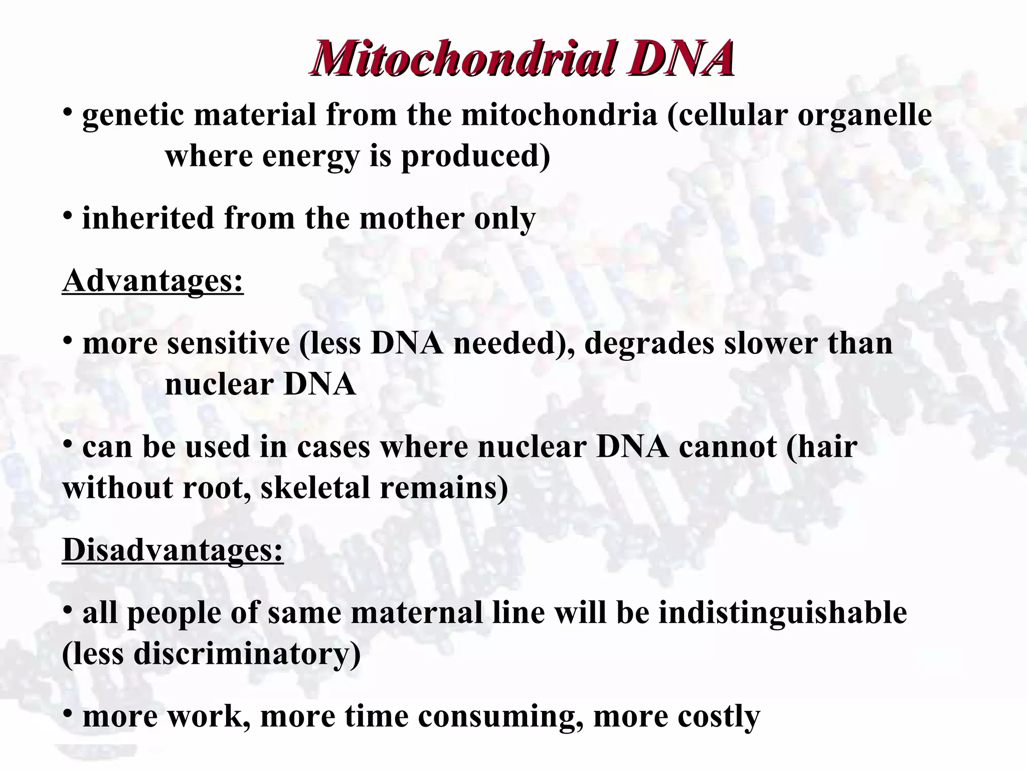 Mitochondrial DNAMitochondrial DNA
• genetic material from the mitochondria (cellular organelle
where energy is produced)
• inherited from the mother only
Advantages:
• more sensitive (less DNA needed), degrades slower than
nuclear DNA
• can be used in cases where nuclear DNA cannot (hair
without root, skeletal remains)
Disadvantages:
• all people of same maternal line will be indistinguishable
(less discriminatory)
• more work, more time consuming, more costly
 