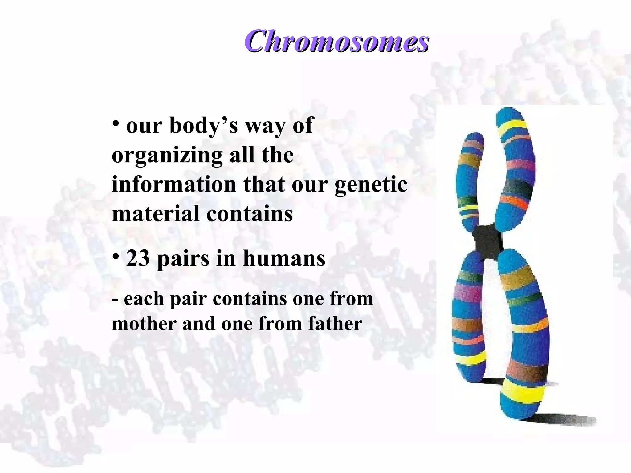 ChromosomesChromosomes
• our body’s way of
organizing all the
information that our genetic
material contains
• 23 pairs in humans
- each pair contains one from
mother and one from father
 