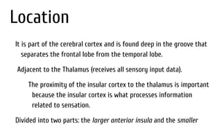Location
It is part of the cerebral cortex and is found deep in the groove that
separates the frontal lobe from the temporal lobe.
Adjacent to the Thalamus (receives all sensory input data).
The proximity of the insular cortex to the thalamus is important
because the insular cortex is what processes information
related to sensation.
Divided into two parts: the larger anterior insula and the smaller
 