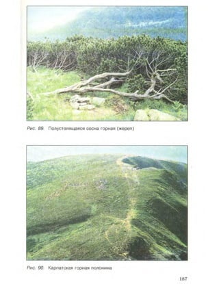 Физическая география Украины 8 класс Заставный