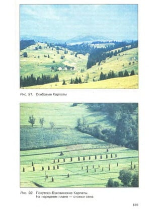 Физическая география Украины 8 класс Заставный