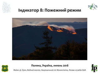 Індикатор 8: Пожежний режим
Поляна, Україна, липень 2018
Майкл Д. Оуен, Водний еколог, Національний ліс Мононґагіла, Лісова служба США
 