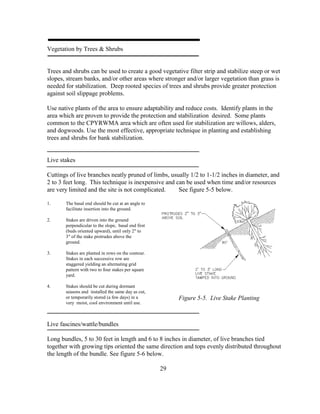 Vegetation by Trees & Shrubs
Trees and shrubs can be used to create a good vegetative filter strip and stabilize steep or wet
slopes, stream banks, and/or other areas where stronger and/or larger vegetation than grass is
needed for stabilization. Deep rooted species of trees and shrubs provide greater protection
against soil slippage problems.
Use native plants of the area to ensure adaptability and reduce costs. Identify plants in the
area which are proven to provide the protection and stabilization desired. Some plants
common to the CPYRWMA area which are often used for stabilization are willows, alders,
and dogwoods. Use the most effective, appropriate technique in planting and establishing
trees and shrubs for bank stabilization.
Live stakes
Cuttings of live branches neatly pruned of limbs, usually 1/2 to 1-1/2 inches in diameter, and
2 to 3 feet long. This technique is inexpensive and can be used when time and/or resources
are very limited and the site is not complicated. See figure 5-5 below.
1. The basal end should be cut at an angle to
facilitate insertion into the ground.
2. Stakes are driven into the ground
perpendicular to the slope, basal end first
(buds oriented upward), until only 2" to
3" of the stake protrudes above the
ground.
3. Stakes are planted in rows on the contour.
Stakes in each successive row are
staggered yielding an alternating grid
pattern with two to four stakes per square
yard.
4. Stakes should be cut during dormant
seasons and installed the same day as cut,
or temporarily stored (a few days) in a
very moist, cool environment until use.
Live fascines/wattle/bundles
Long bundles, 5 to 30 feet in length and 6 to 8 inches in diameter, of live branches tied
together with growing tips oriented the same direction and tops evenly distributed throughout
the length of the bundle. See figure 5-6 below.
29
Figure 5-5. Live Stake Planting
 