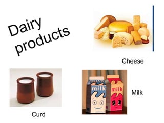 Dairy products Cheese Milk Curd 
