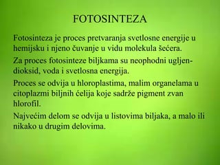 FOTOSINTEZA
Fotosinteza je proces pretvaranja svetlosne energije u
hemijsku i njeno čuvanje u vidu molekula šećera.
Za proces fotosinteze biljkama su neophodni ugljen-
dioksid, voda i svetlosna energija.
Proces se odvija u hloroplastima, malim organelama u
citoplazmi biljnih ćelija koje sadrže pigment zvan
hlorofil.
Najvećim delom se odvija u listovima biljaka, a malo ili
nikako u drugim delovima.
 