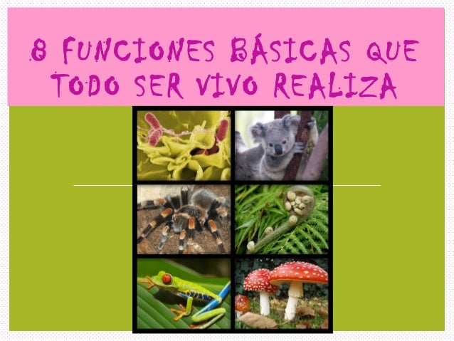 8 Funciones Vitales De Todo Organismo Vivo