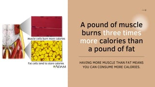 A pound of muscle
burns three times
more calories than
a pound of fat
HAVING MORE MUSCLE THAN FAT MEANS
YOU CAN CONSUME MO...