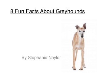 8 Fun Facts About Greyhounds
By Stephanie Naylor
 