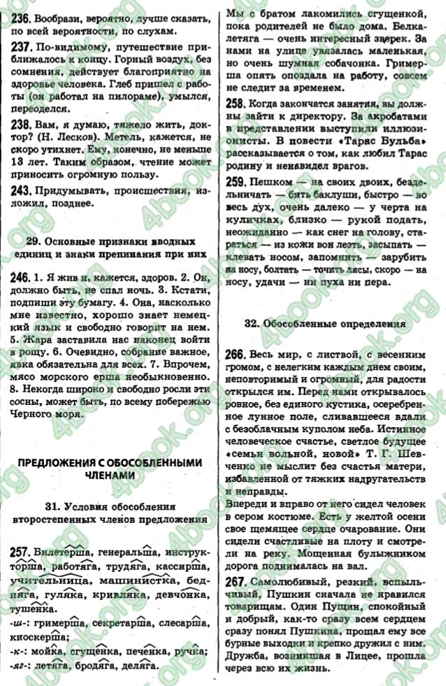 Жара Заставила Нас Наконец Войти В Рощу