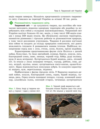 147
Тема 6. Тваринний світ України
видів тварин вимерли. Більшість представників сучасного тваринно-
го світу з’явилася на території України за останні 10  тис. років.
1	 Різноманітність тваринного світу.
Тваринний світ  — це сукупність тварин, що постійно або тим-
часово населяють відносно однорідну територію або водойму та пе-
ребувають між собою у складних взаємовідносинах. Тваринний світ
України налічує близько 45 тис. видів, у тому числі 100 видів ссав-
ців і  понад 350  видів птахів. Це обумовлено значною територією,
наявністю рівнинних і гірських районів та різноманіттям природи,
у  тому числі рослинних угруповань. Тварини й  рослини пов’язані
між собою та входять до складу природних комплексів, які дають
можливість існувати й  розвиватися живим істотам. Найбільш по-
ширеними серед них є  ліси, степи, луки, болота, прісні водойми.
Характерними представниками фауни лісів Полісся є  дикий
кабан, білка (мал. 1), їжак звичайний, куниця, борсук, козуля, лось,
благородний олень, вовк, лисиця, чорний тхір, бобер, руда полівка,
руда й мала вечірниці. Зустрічаються бурий ведмідь, рись, лісовий
кіт. Із птахів у  лісах поширені тетерук, глухар, рябчик, сова, дя-
тел, яструб, шуліка, шпак; зустрічаються сокіл-сапсан, орлан-біло-
хвіст. Зараз відновлюється популяція зубрів. Із плазунів характер-
ні ящірка, вуж, веретільниця, мідянка.
Найбагатшою є фауна гірських лісів. У Карпатах водяться ди-
кий кабан, козуля, благородний олень, сарна, бурий ведмідь, ку-
ниця, рись. Серед птахів поширені тетерук, глухар, ялиновий шиш-
кар, альпійська галка, сніговий в’юрок, чечевиця; зустрічаються
Мал. 1. Білка. Іноді ці тварини жи-
вуть у  парках і  садах у  межах міст.
Мал. 2. Чорний гриф вважається най-
більшим птахом України (вага тіла сягає
12,5  кг). Він мешкає у  верхній межі лісу.
 