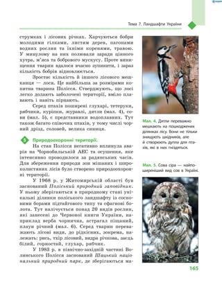 165
Тема 7. Ландшафти України
Мал. 4. Дятли переважно
мешкають на пошкоджених
ділянках лісу. Вони не тільки
знищують шкідників, але
й  створюють дупла для пта-
хів, які в  них гніздяться.
Мал. 5. Сова сіра  — найпо-
ширеніший вид сов в  Україні.
струмках і  лісових річках. Харчуються бобри
молодими гілками, листям дерев, пагонами
водних рослин та їхніми коренями, травою.
У  минулому на них полювали заради цінного
хутра, м’яса та бобрового мускусу. Проте вини-
щення тварин вдалося вчасно зупинити, і  зараз
кількість бобрів відновлюється.
Зростає кількість й  іншого лісового меш-
канця  — лося. Це найбільша за розмірами ко-
питна тварина Полісся. Стверджують, що лосі
легко долають заболочені території, вміло пла-
вають і  навіть пірнають.
Серед птахів поширені глухарі, тетеруки,
рябчики, куріпки, журавлі, дятли (мал.  4), со-
ви (мал.  5), є  представники водоплавних. Тут
також багато співочих птахів, у тому числі чор-
ний дрізд, соловей, велика синиця.
5	 Природоохоронні території.
На стан Полісся негативно вплинула ава-
рія на Чорнобильській АЕС та осушення, яке
інтенсивно проводилося за радянських часів.
Для збереження природи зон мішаних і  широ-
колистяних лісів було створено природоохорон-
ні території.
У  1968  р. у  Житомирській області був
заснований Поліський природний заповідник.
У ньо­му зберігаються в природному стані уні-
кальні ділянки поліського ландшафту із сосно-
вими борами підтайгового типу та сфагнові бо-
лота. Тут налічується понад 20  видів рослин,
які занесені до Червоної книги України, на-
приклад верба чорнична, астрагал піщаний,
плаун річний (мал.  6). Серед тварин перева-
жають лісові види, до рідкісних, зокрема, на-
лежать: рись, тхір лісовий, видра річкова, заєць
білий, горностай, глухар, рябчик.
У 1983  р. в  північно-західній частині Во-
линського Полісся заснований Шацький націо-
нальний природний парк, де зберігаються ма-
 