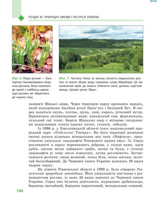 166
Розділ III. Природні умови і  ресурси України
льовничі Шацькі озера. Через територію парку проходить вододіл,
який відокремлює басейни річок Прип’ять і Західний Буг. В озе-
рах водяться окунь, плотва, щука, лящ, карась, річковий вугор.
Прижилися акліматизовані види: канадський сом, форелеокунь,
чудський сиг тощо. Береги Шацьких озер є  місцями гніздуван-
ня водоплавних птахів (диких качок, гусаків, лебедів).
Із 1996  р. у  Хмельницькій області існує національний при-
родний парк «Подільські Товтри». На його території розвідані
знач­ні запаси цілющих мінеральних вод типу «Нафтуся», пред-
ставлені унікальні ландшафти Товтрового кряжу (мал.  7). Серед
рослинності в  парку переважають діброви, у  складі яких, крім
дубів, значне місце займають граби, ясени та буки, є  степові
ландшафти (у  тому числі ковилові), лучна рослинність. Зустрі-
чаються релікти: хвощ великий, осока біла, осока низька, моло-
чай багатобарвний. До Червоної книги України належать 29  видів
тварин парку.
На півночі Рівненської області в  1999  р. було створено Рів-
ненський природний заповідник. Його унікальність пов’язана з різ-
номаніттям рослин, із яких 48  видів занесені до Червоної книги
України. Серед них булатка довголиста, журавлина дрібноплода,
баранець звичайний, борідник паростковий, молодильник озерний.
Мал. 6. Плаун річний  — бага-
торічна тіньовитривала лікар-
ська рослина. Вона належить
до однієї з  найбільш давніх
груп рослин, які збереглися
до нашого часу.
Мал. 7. Частина Товтр за велику кількість медоносних рос-
лин та значні збори меду отримала назву Медобори. Це ма-
льовничий край, де можна побачити скелі, долини, карстові
явища, провал річки Збруч.
 